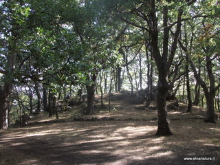Demanio_Pitarrone_Palomba - 30-09-2012 08-40-17.JPG